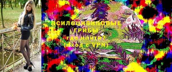 спайс Алексин