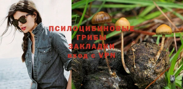 СК Алзамай
